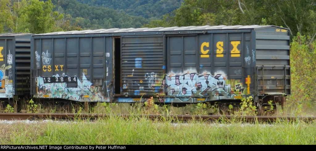 CSXT 123964